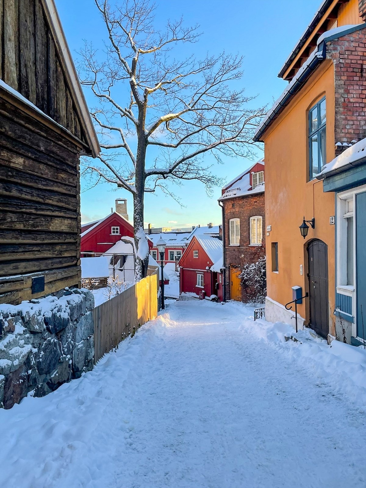 Områdebilde. Galleribilde