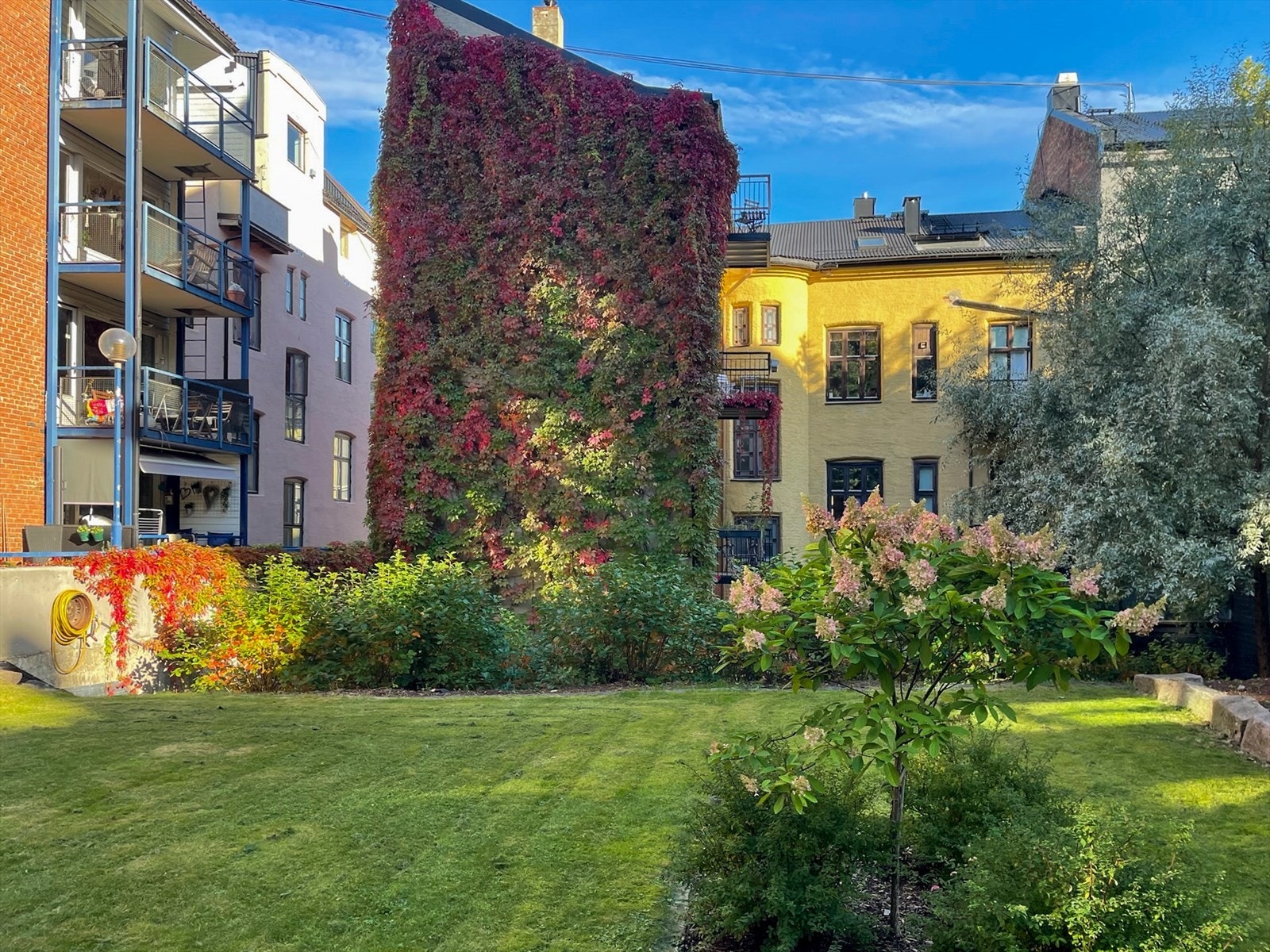 Selgers bakgårdsbilde. Galleribilde