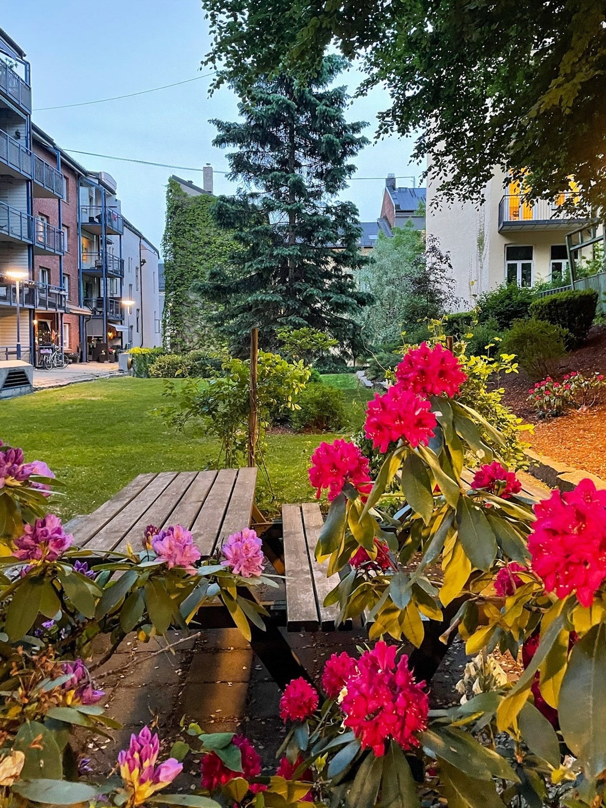 Selgers bakgårdsbilde. Galleribilde