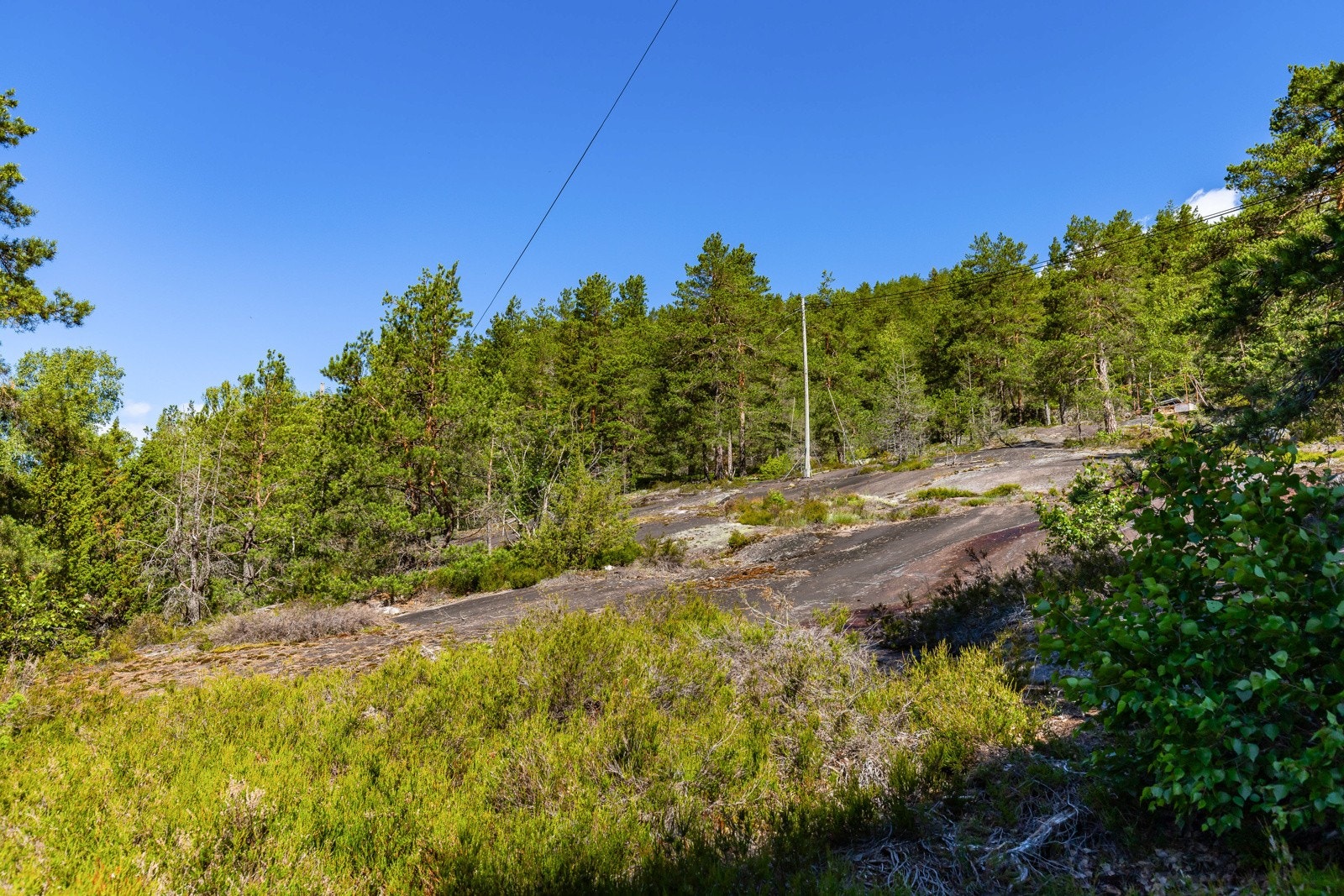 Flotte turmuligheter rett bak bygget. Galleribilde