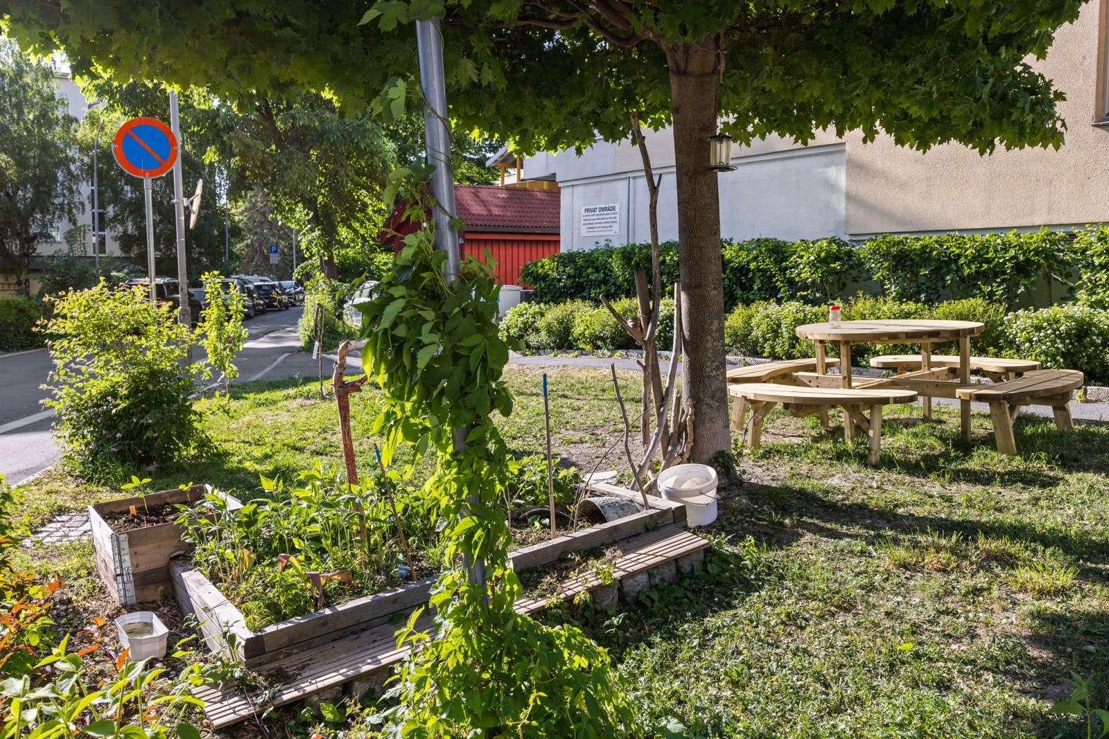 Borettslaget har pen beplantning i fellesarealene sine på sommerstid. Galleribilde
