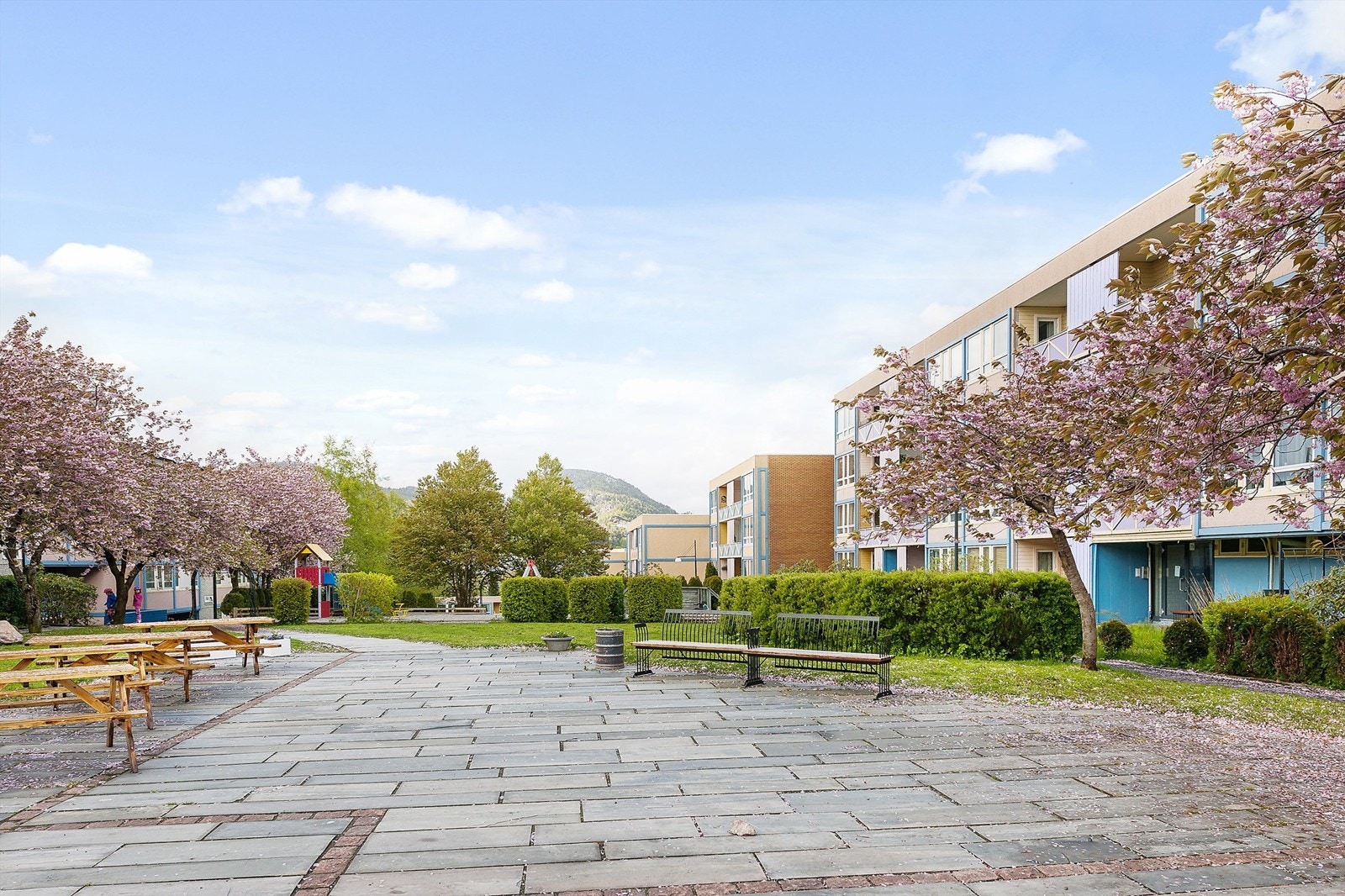 Uteområde Galleribilde