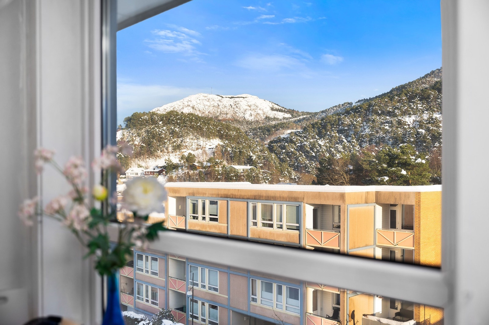 På østsiden har man også utsikt mot Løvstakken. Galleribilde