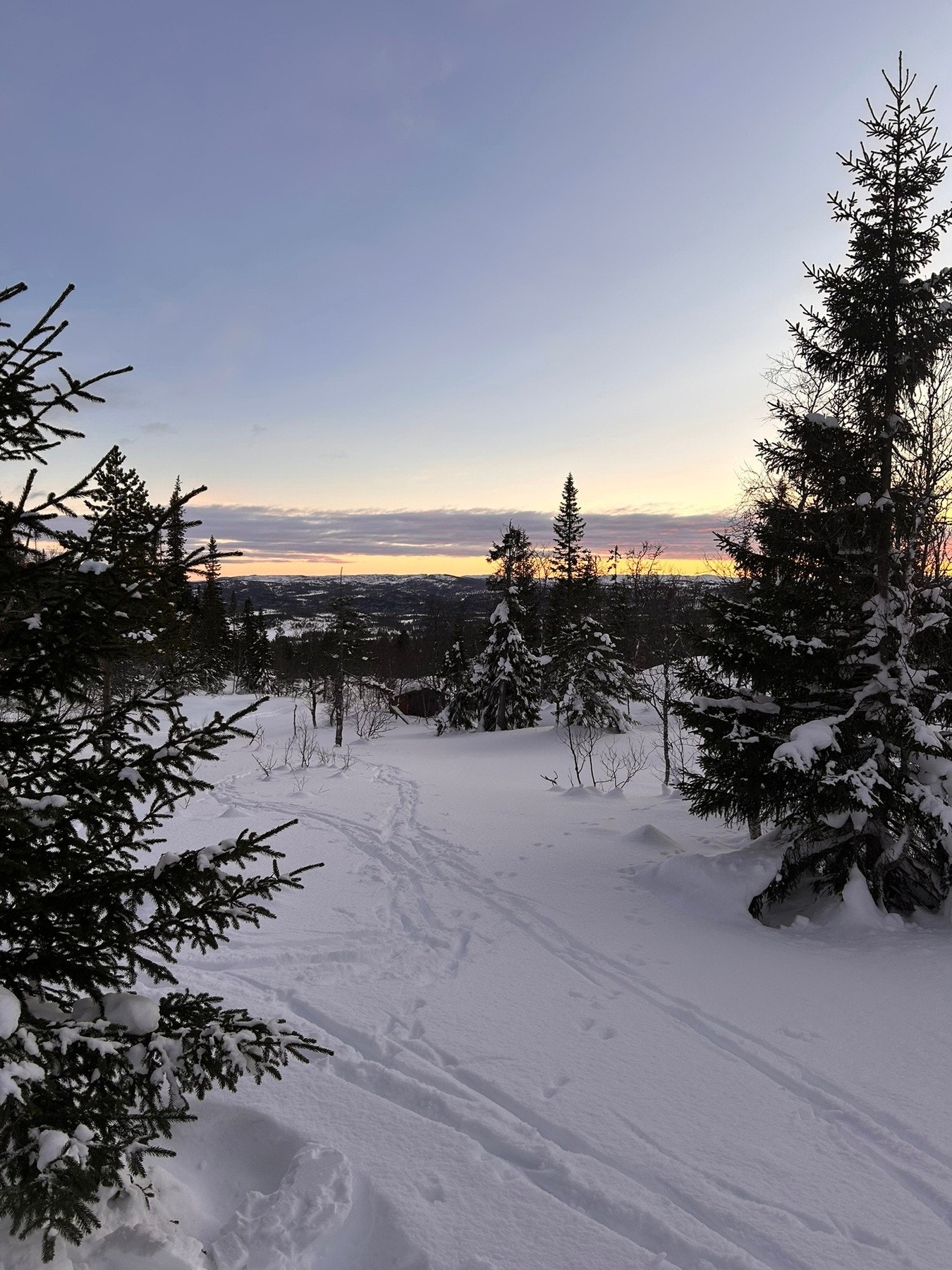 Selgers private vinterbilde. Galleribilde