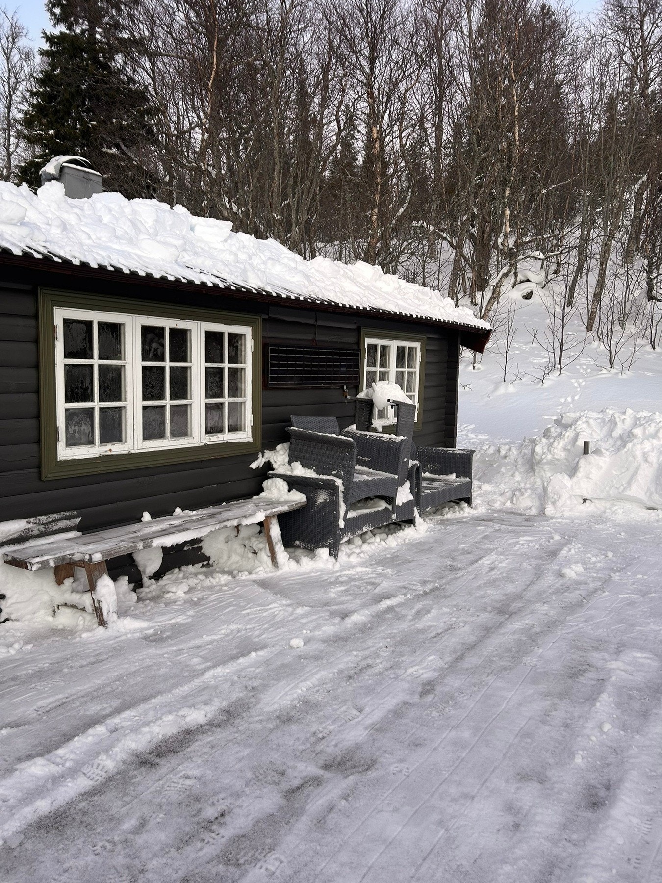 Selgers private vinterbilde. Galleribilde