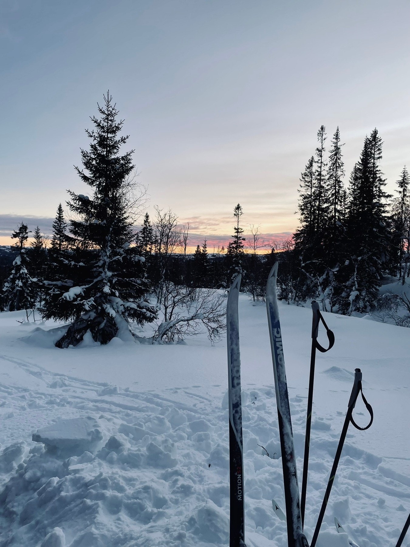 Selgers private vinterbilde. Galleribilde