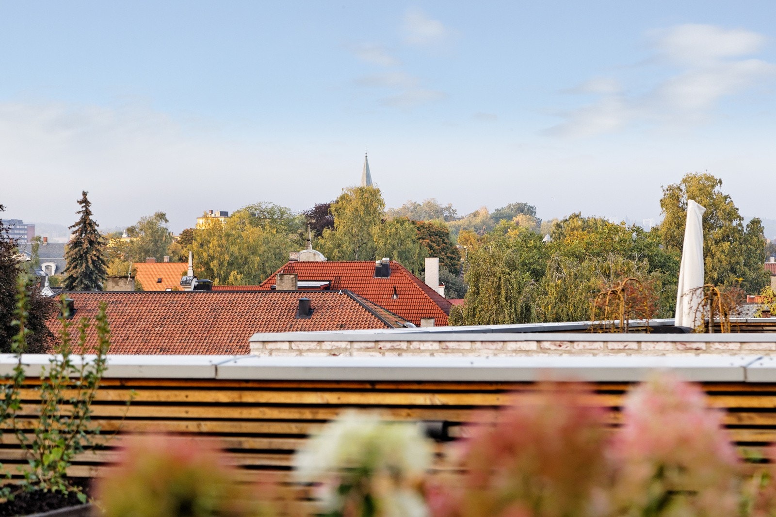 Hyggelig utsyn Galleribilde