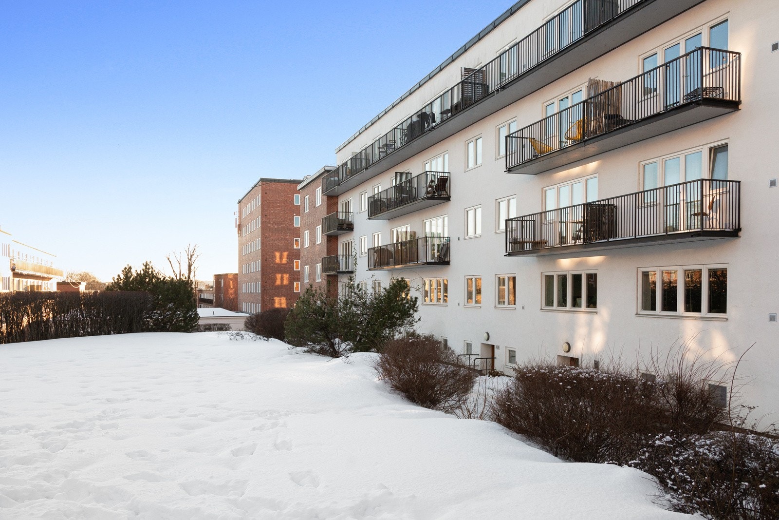 LPS_5542 Galleribilde