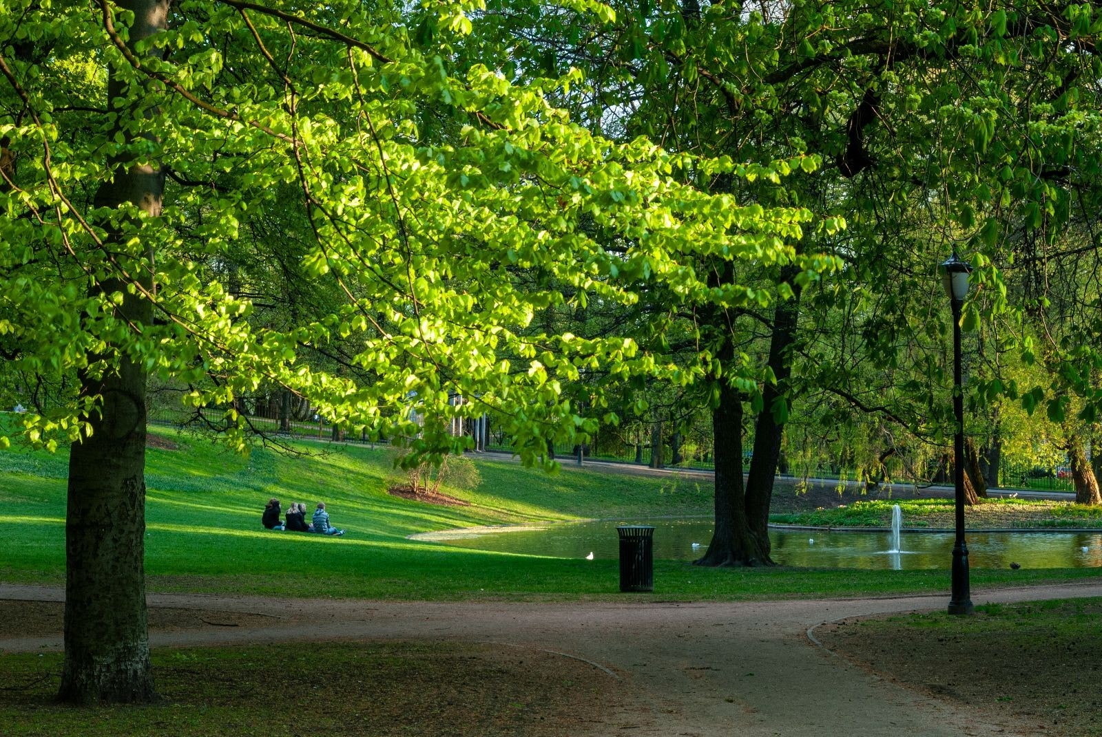 Området har mange grønne lunger. Like i nærheten er Slottsparken. Galleribilde