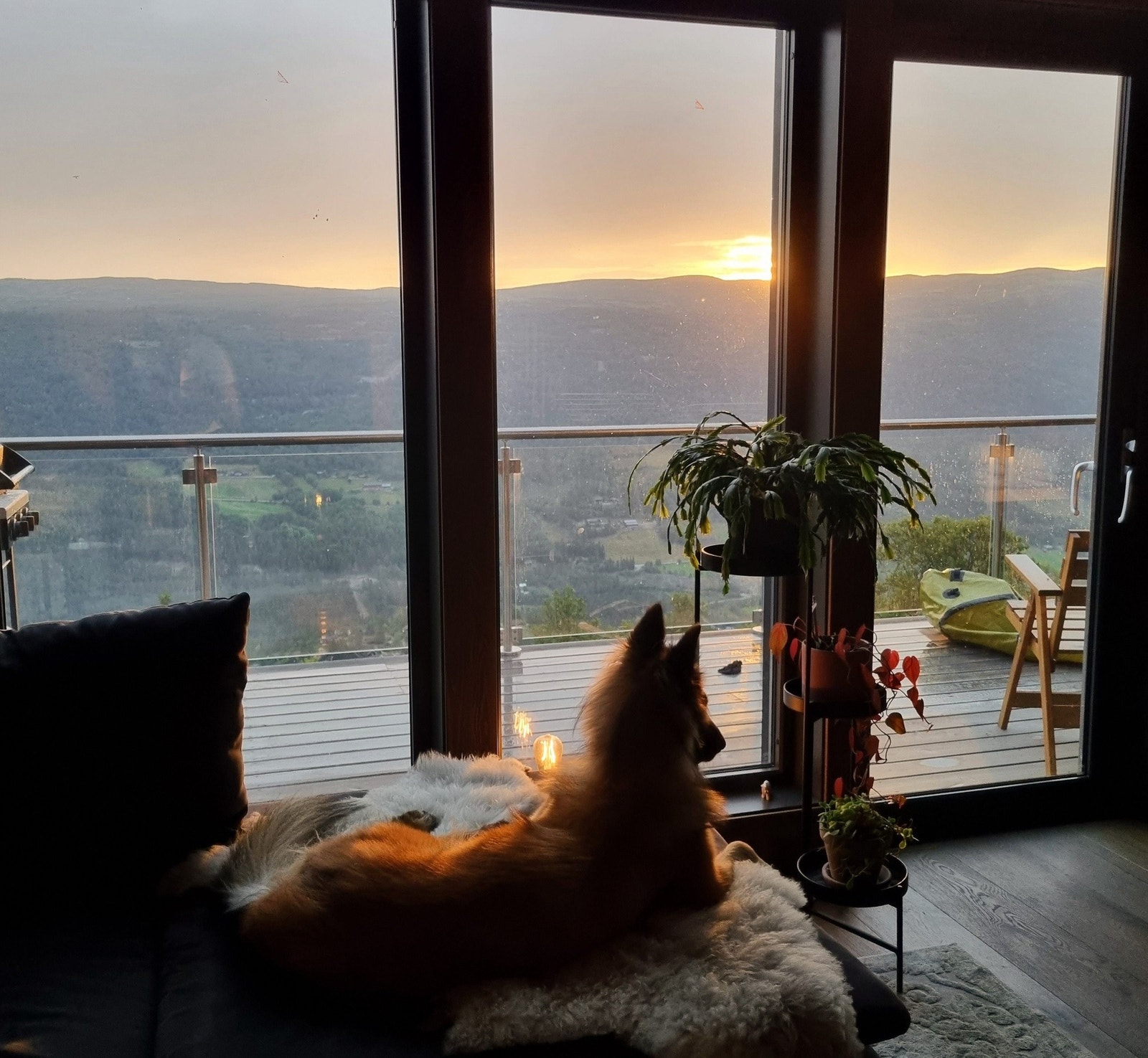 Stemningsbilde Galleribilde