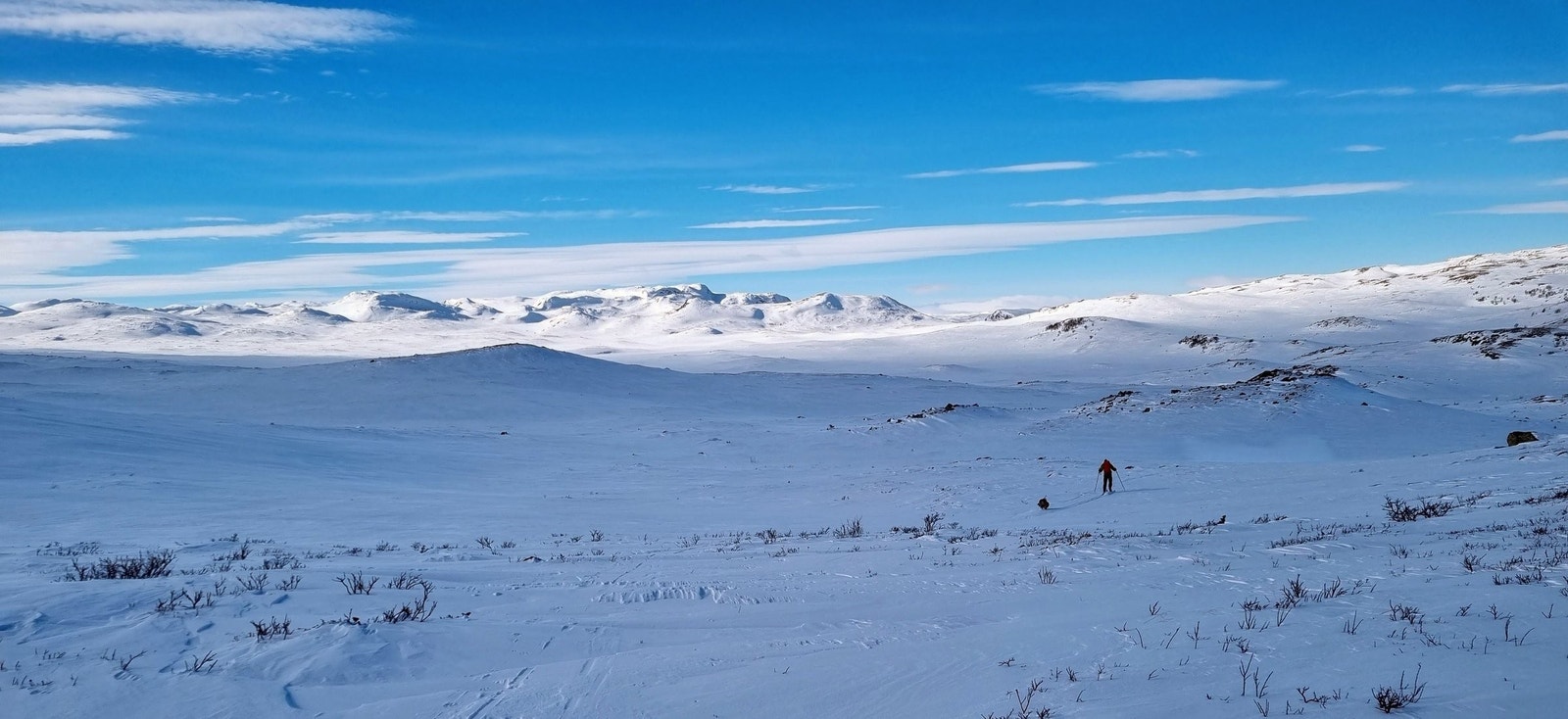 Like bak hytta har man store vidder og fjellområder hvor man kan vandre flere mil på fjellski. Galleribilde