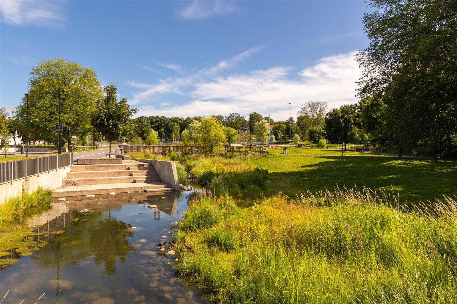 Jordal Amfi og idrettspark er et flott anlegg både for dem som er glad i hockey, og de som liker å trene utendørs. Galleribilde