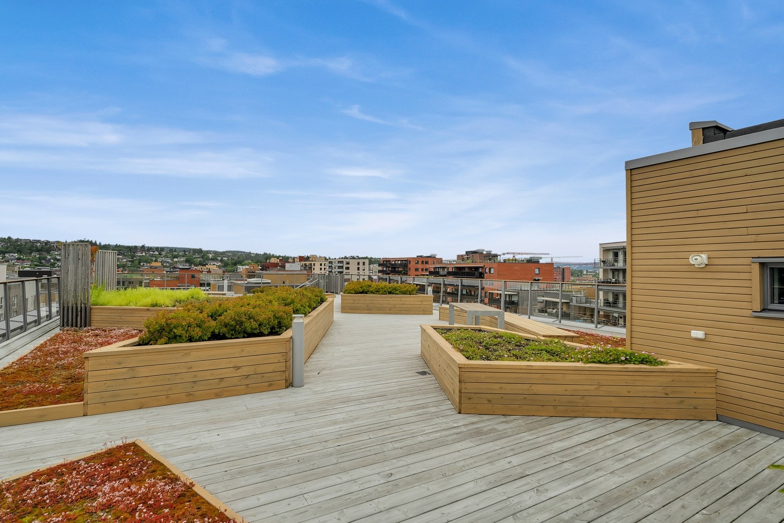 Felles tekterrasse. Galleribilde