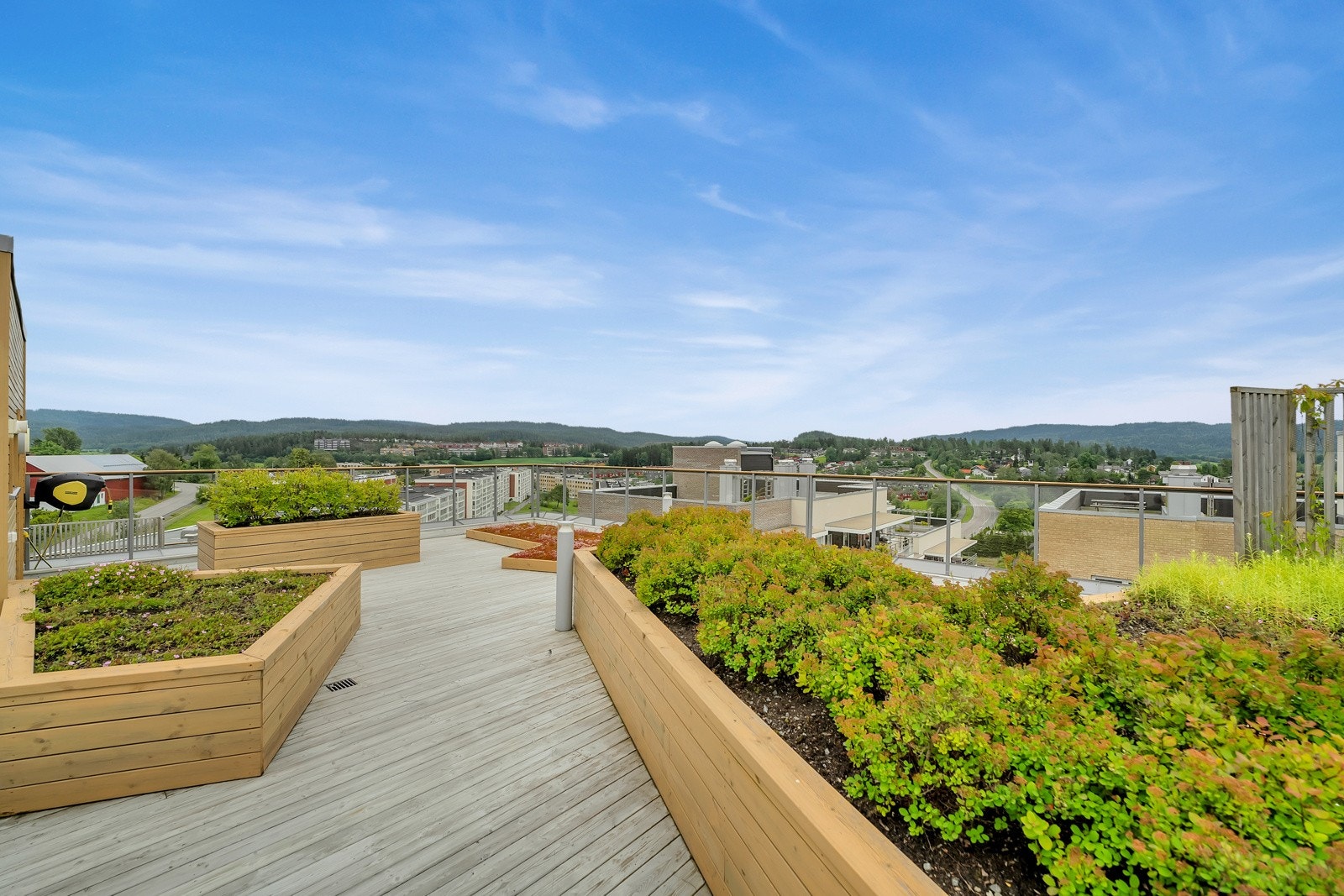 Felles takterrasse. Galleribilde