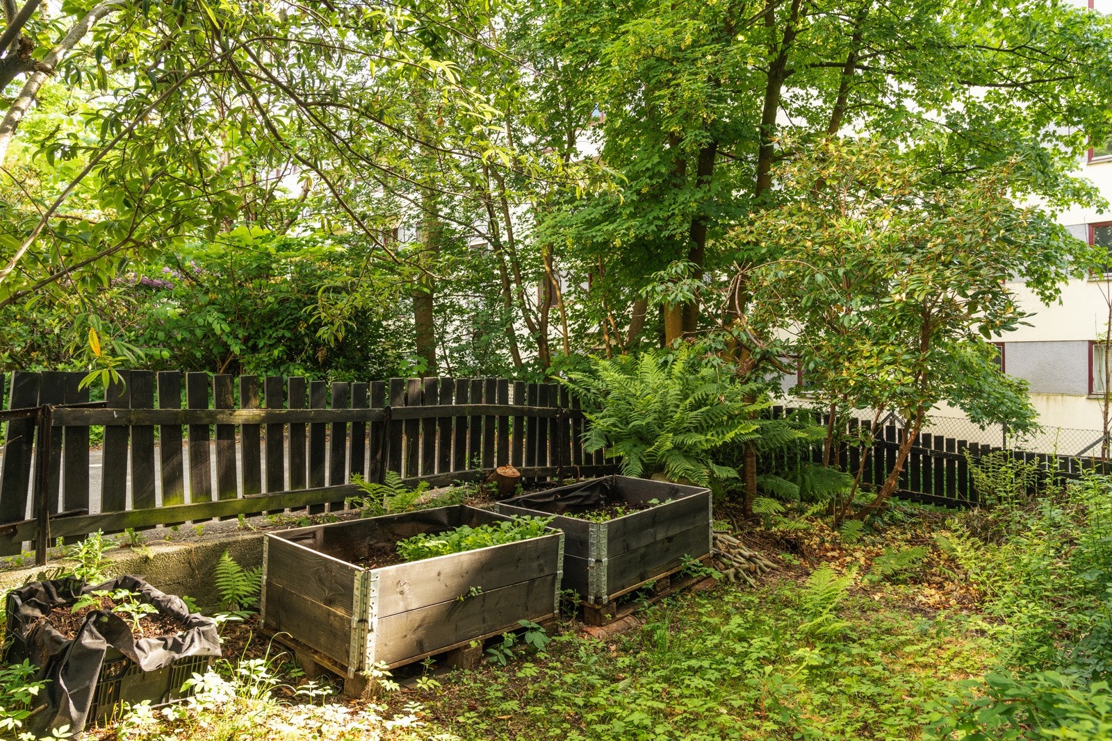 Blant annet ligger Nygårdsparken bare noen minutter unna med yrende liv og grilling om sommeren, og gang- og sykkelsti rundt Store Lungegårdsvannet. Galleribilde