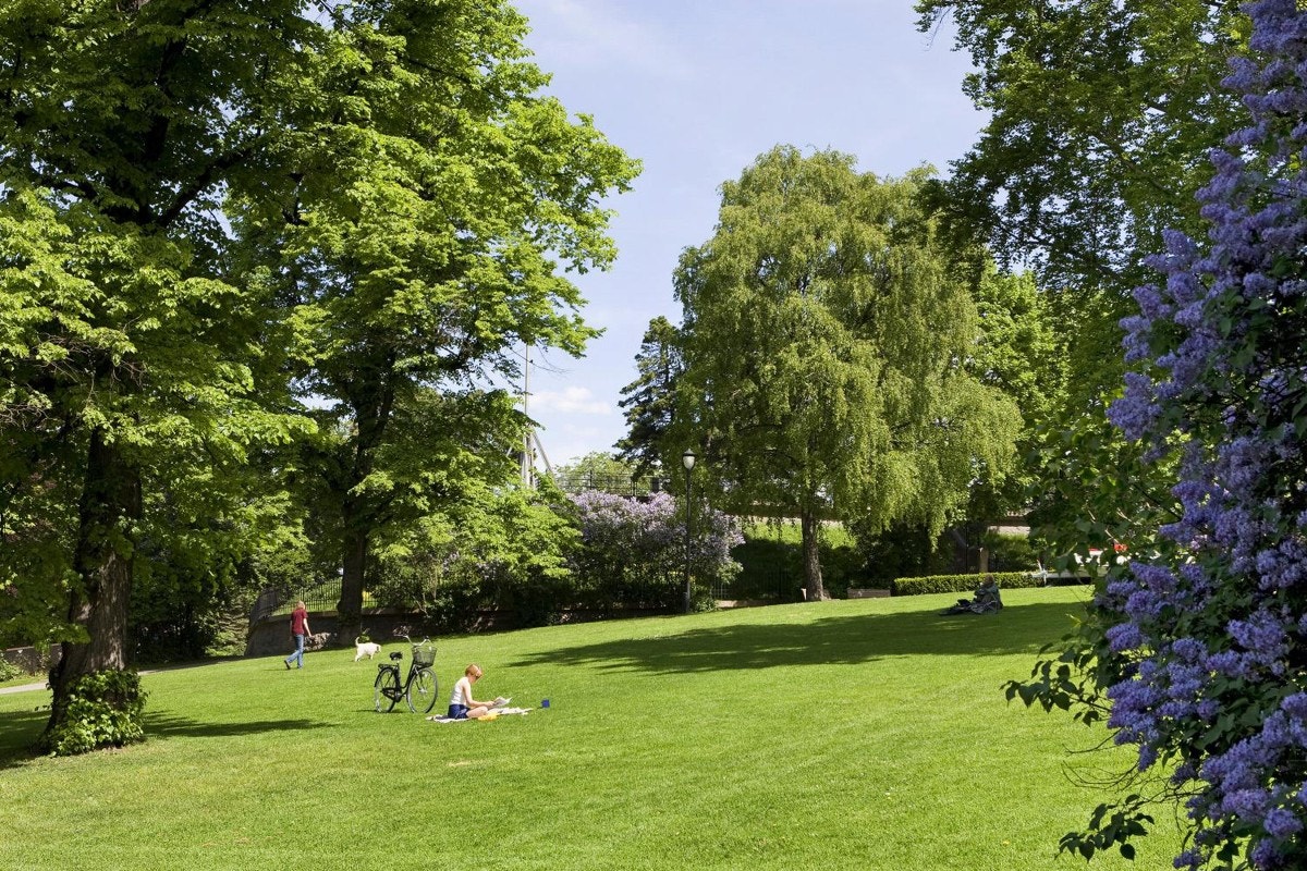 Kampen park Galleribilde