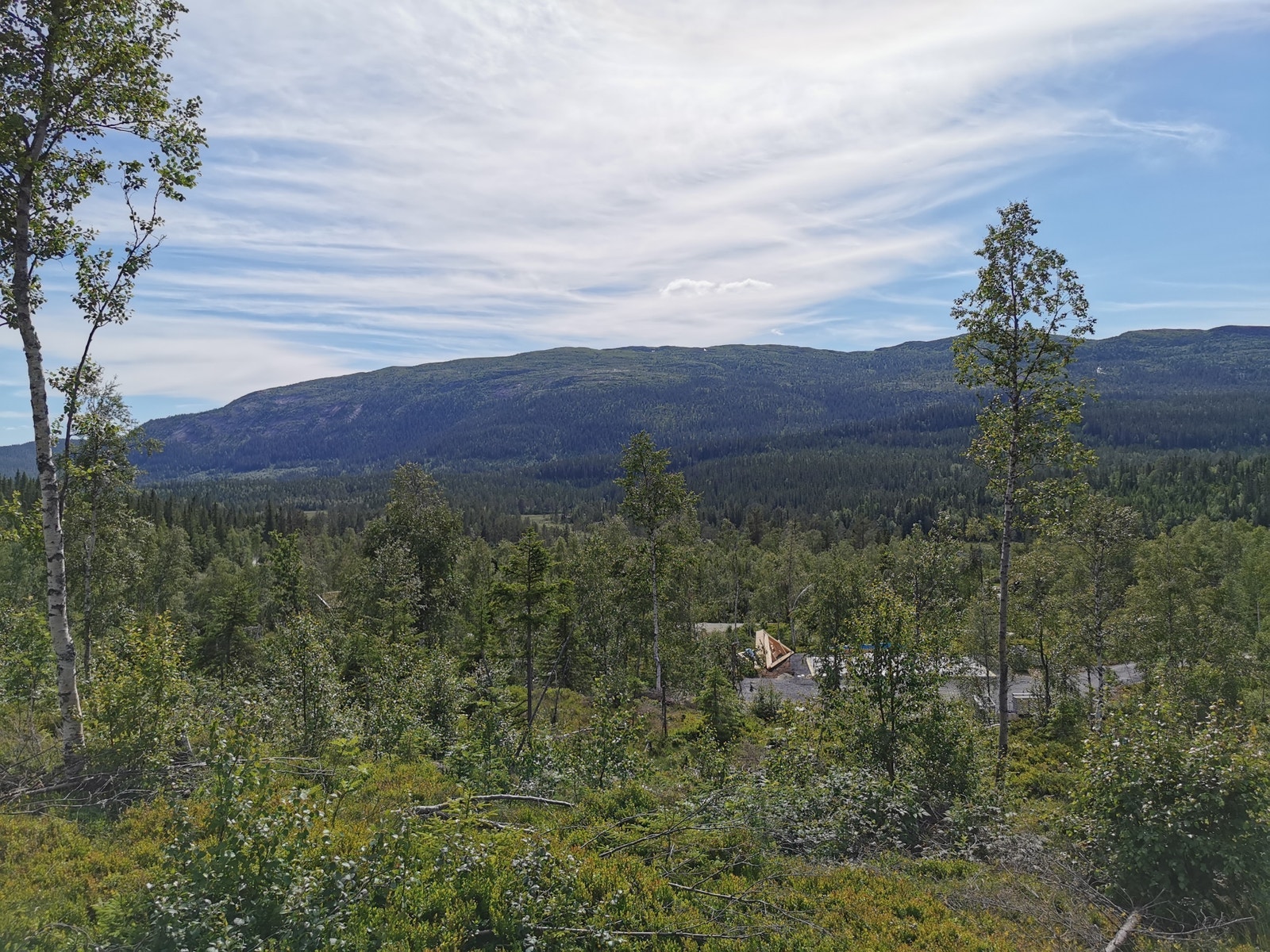Fantastisk utsikt fra tomtene mot vest Galleribilde