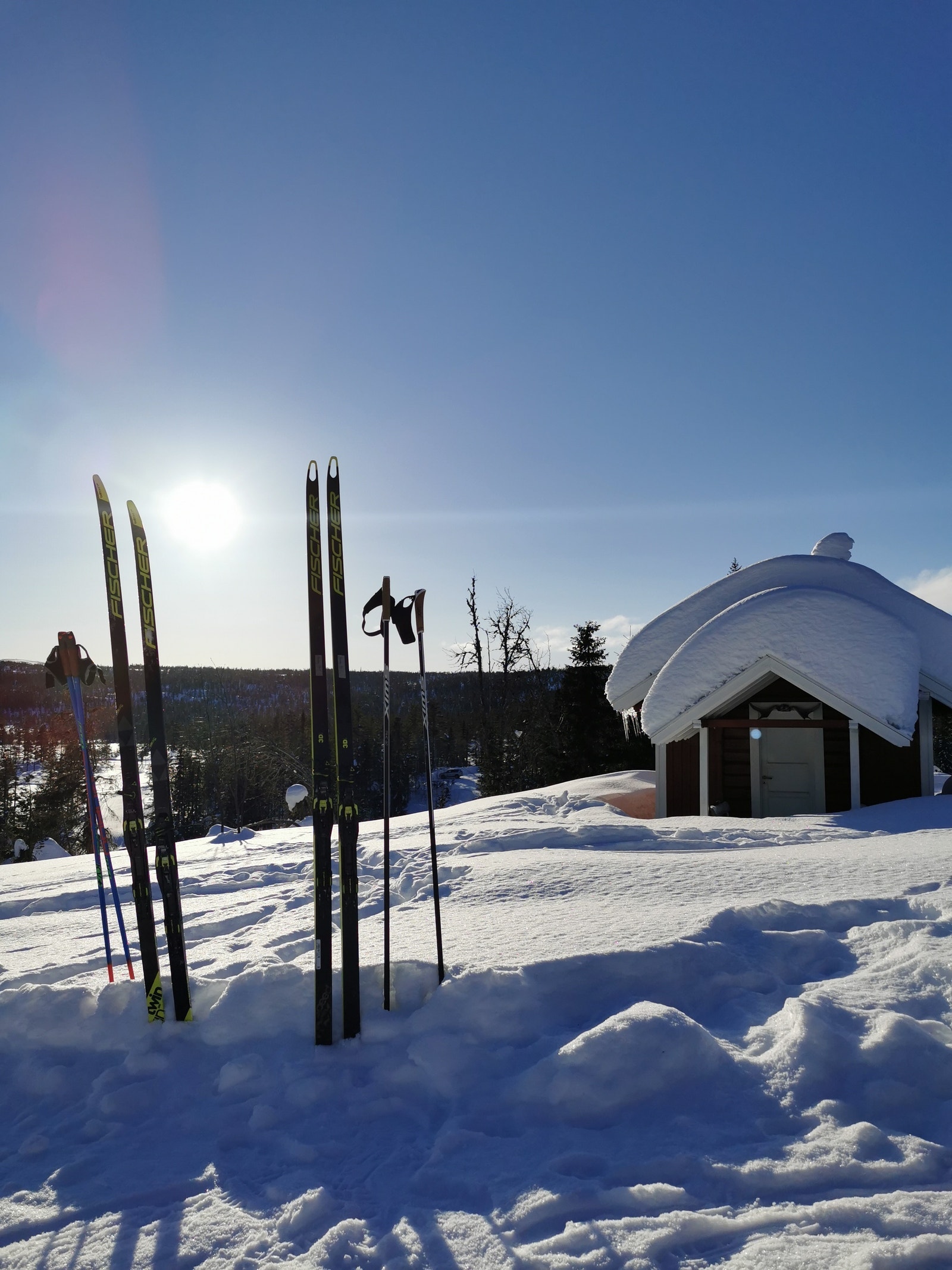 Fra Viksetra, ca 5 km fra Killingtjern Panorama. Flott skitur for hele familien. Galleribilde