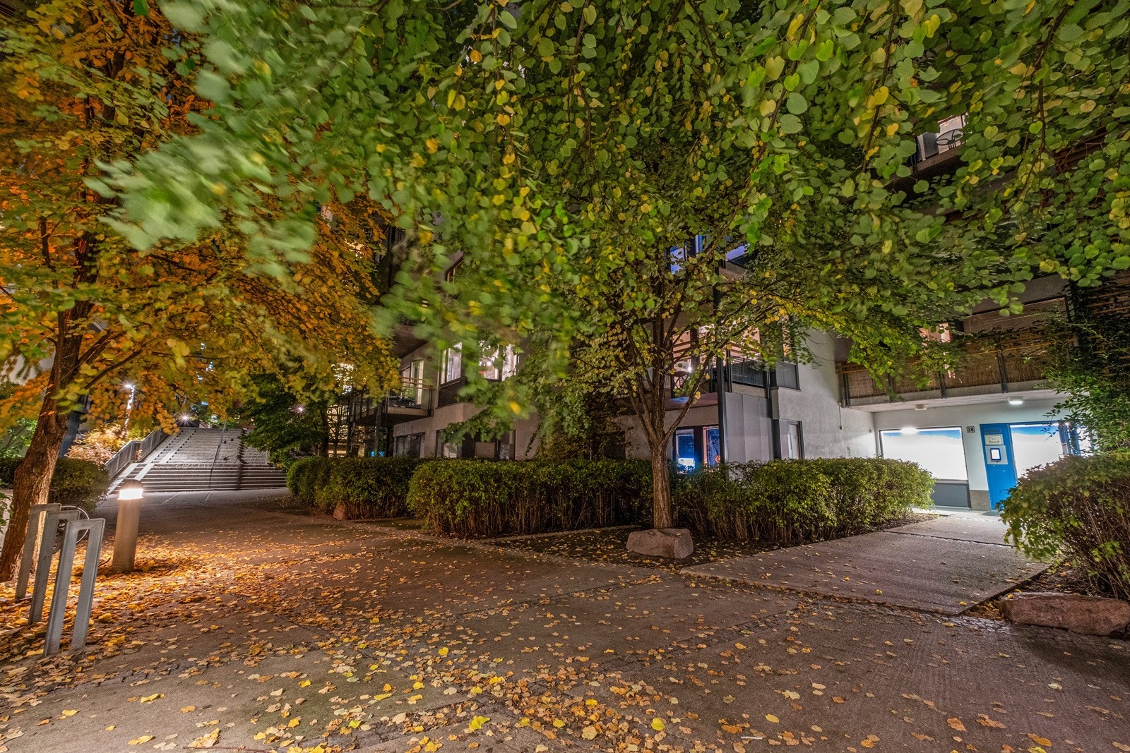 Pent opparbeidet med steinbelagte internveier, plenareal, trær, beplantninger og felles sykkelparkering. Galleribilde