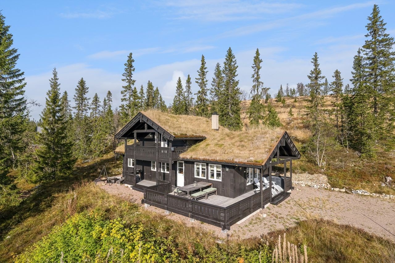 Velkommen til Ryprustvegen 1 i vakre Trysil-Knut Fjellsenter Galleribilde