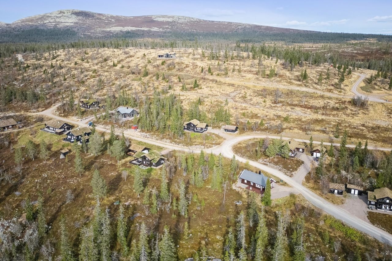 Nært til snaufjellet Høa og Eltdalskardet Galleribilde