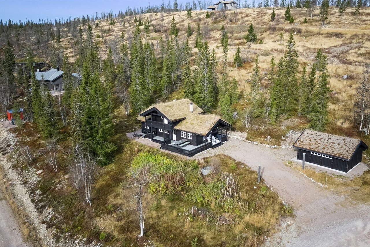 Solrik beliggenhet i åpen skogsmark med nærhet til snaufjell Galleribilde