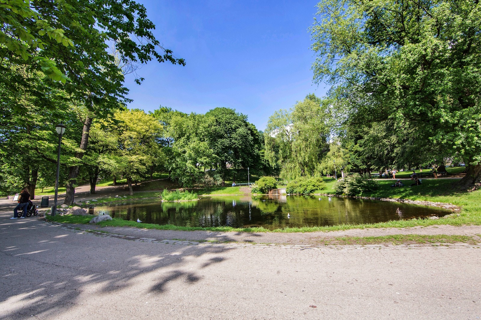 Idylliske St. Hanshaugen park Galleribilde