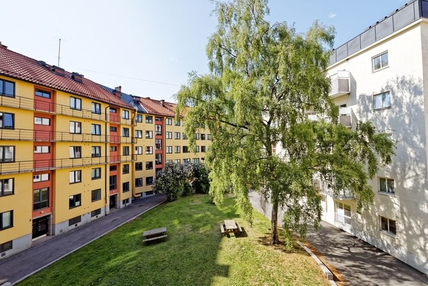 Grønn og innbydende bakgård Galleribilde