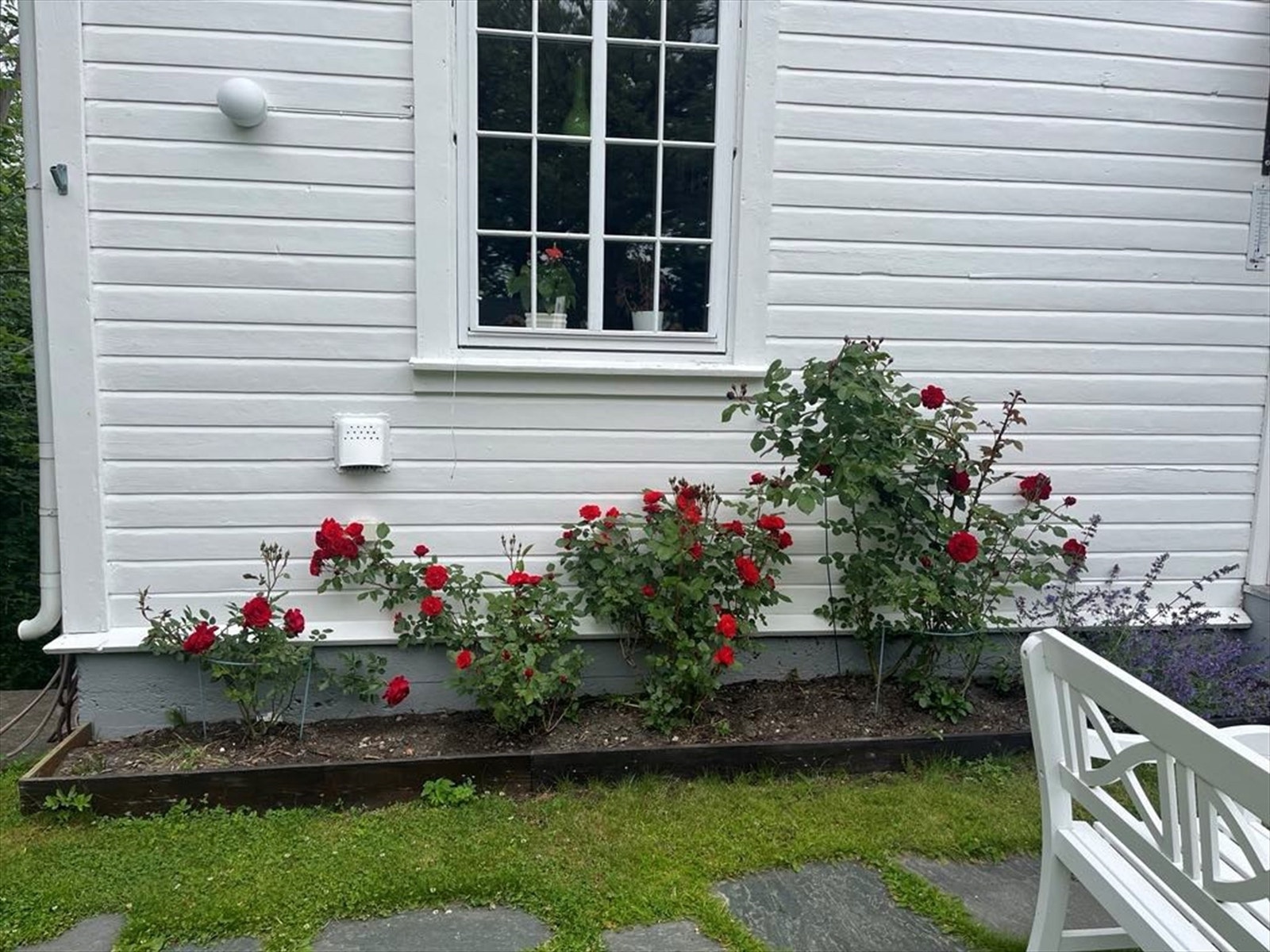 Private sommerbilder Galleribilde