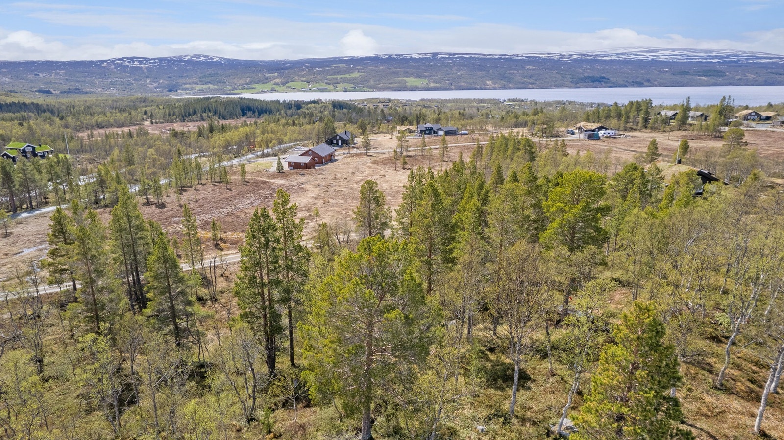 Stor og romslig sørvendt fritidstomt i Stugudalen med god solgang. Galleribilde