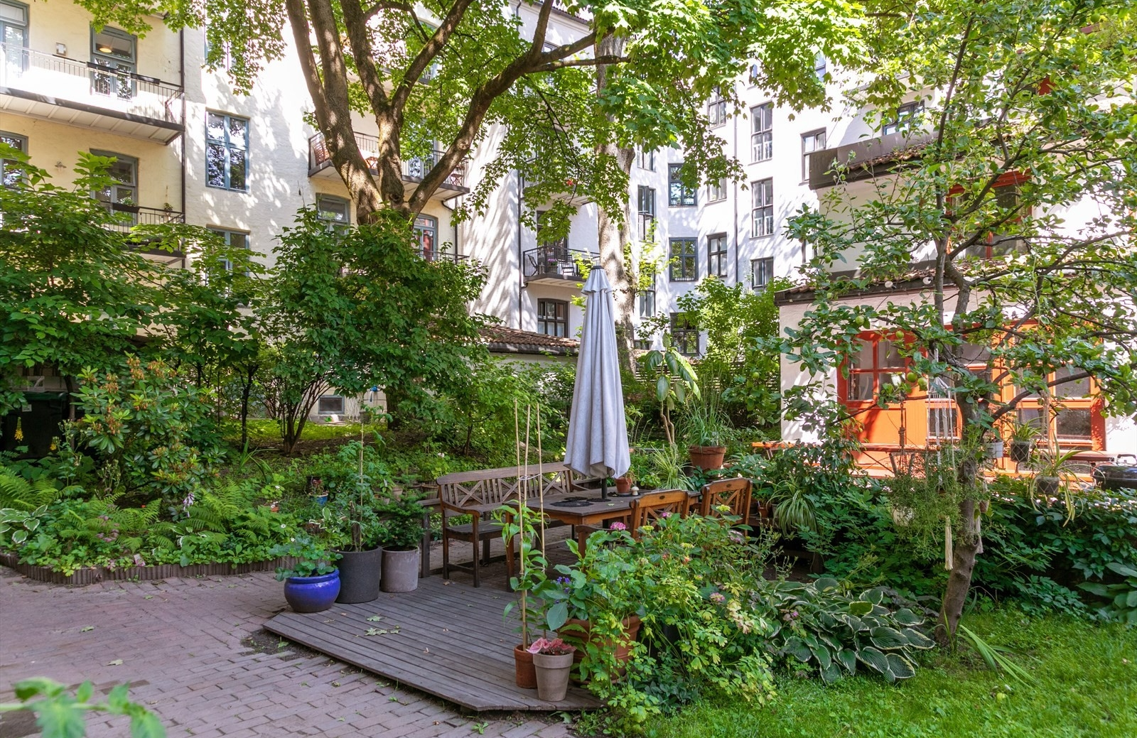 Hyggelig og frodig bakgård. Galleribilde