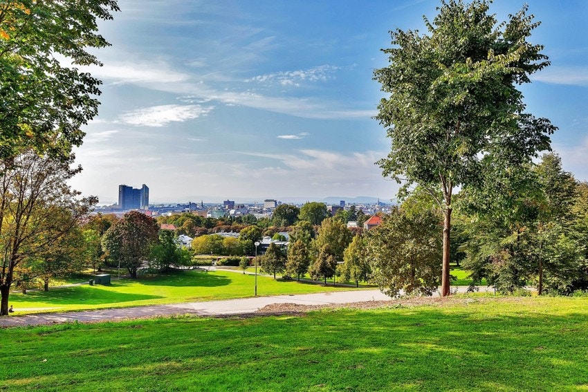 Tøyenparken. Galleribilde