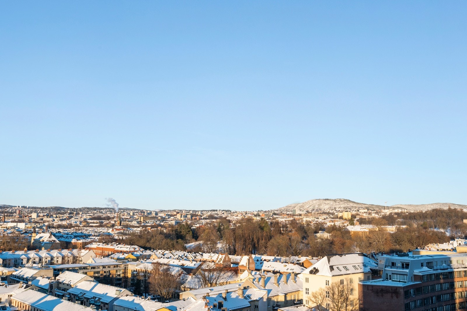 Utsikt mot Botanisk hage og Grefsenkollen Galleribilde