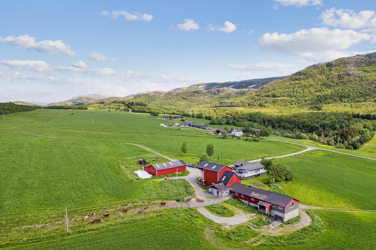 Gårdstun Galleribilde
