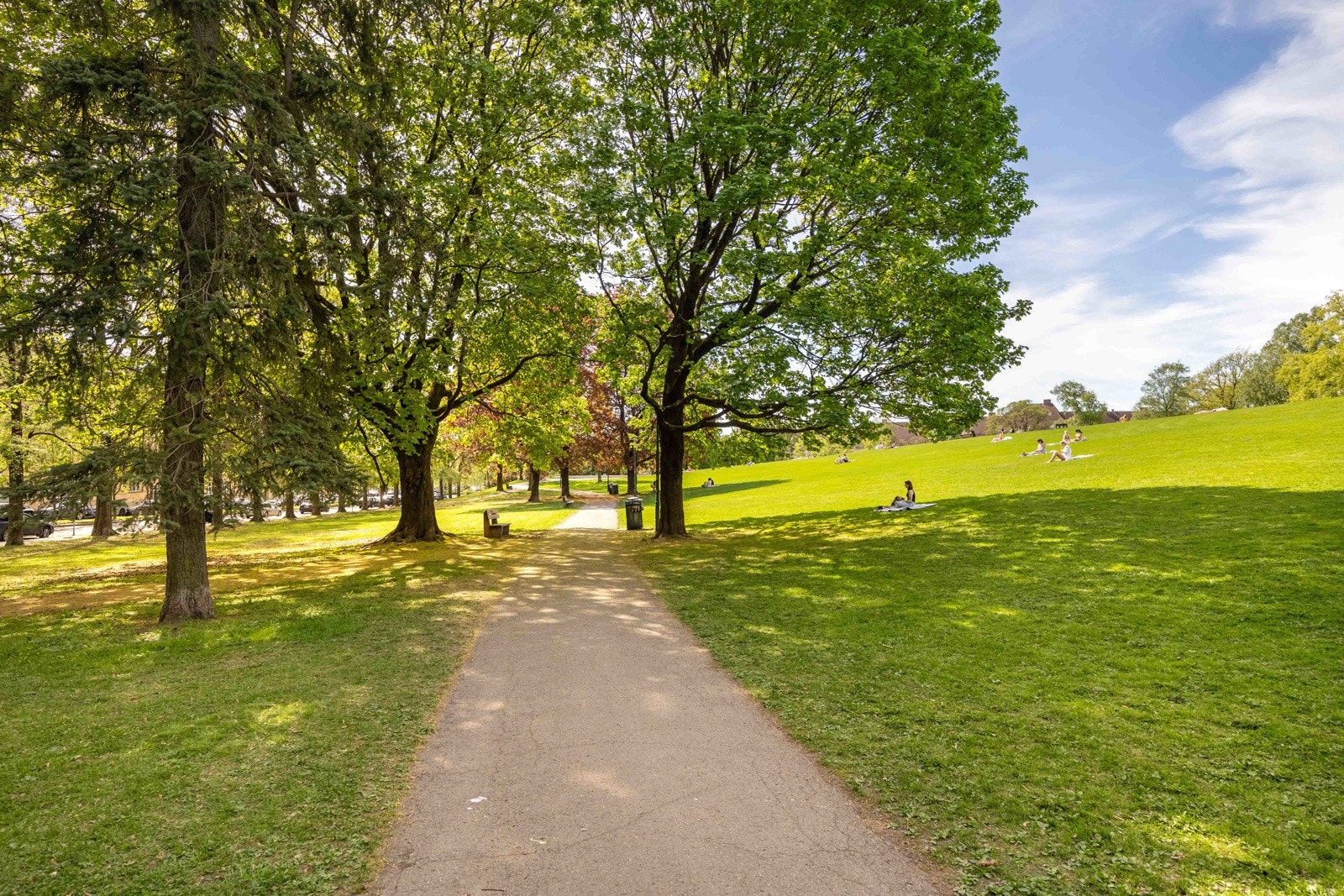 Det er flere kjente parker og grøntområder i nærområdet som blant annet Torshovdalen med Torshovparken, og Ola Narr med Tøyenparken. Galleribilde