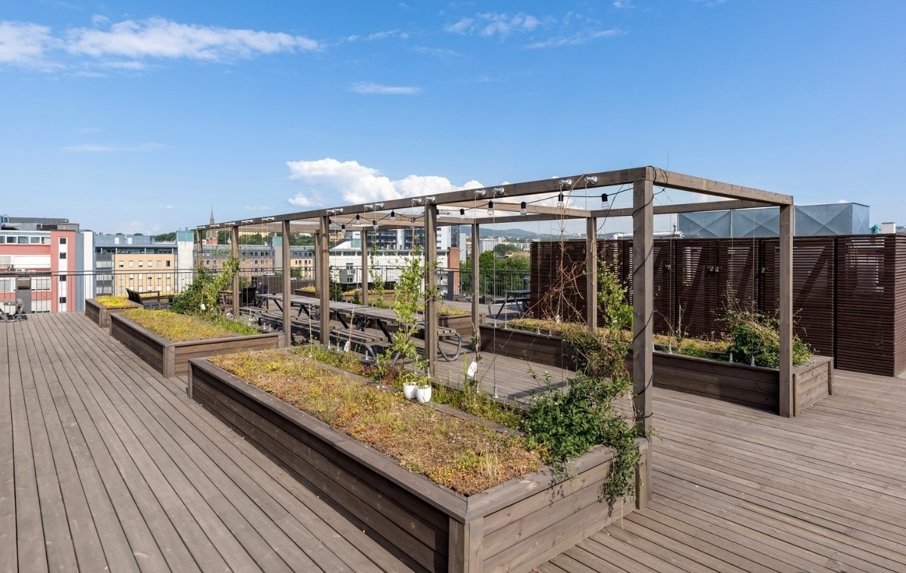 Her kan fine sommerdager nytes til det fulle! Galleribilde