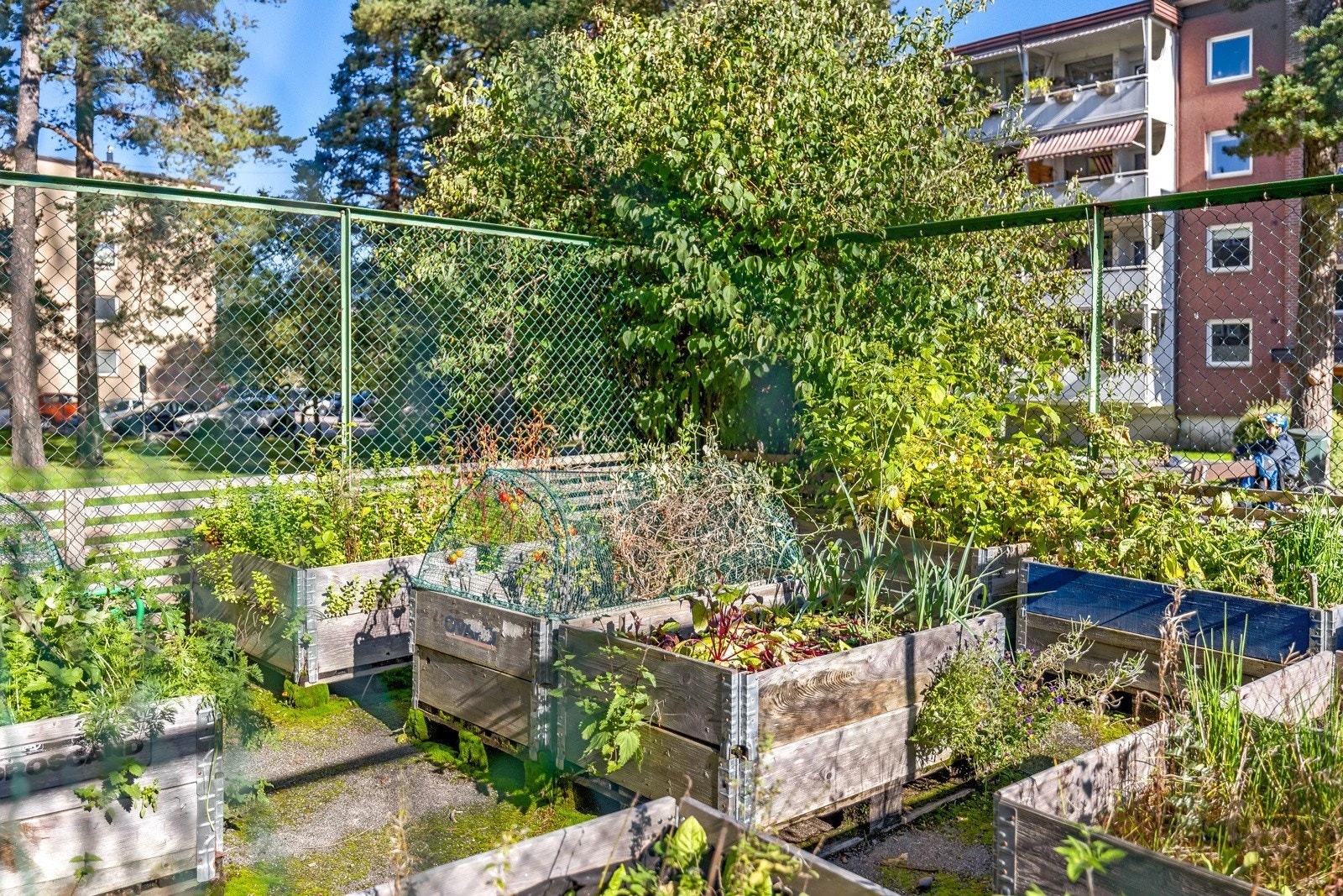 Her har borettslaget også parsell-hage som beboere kan benytte. Galleribilde