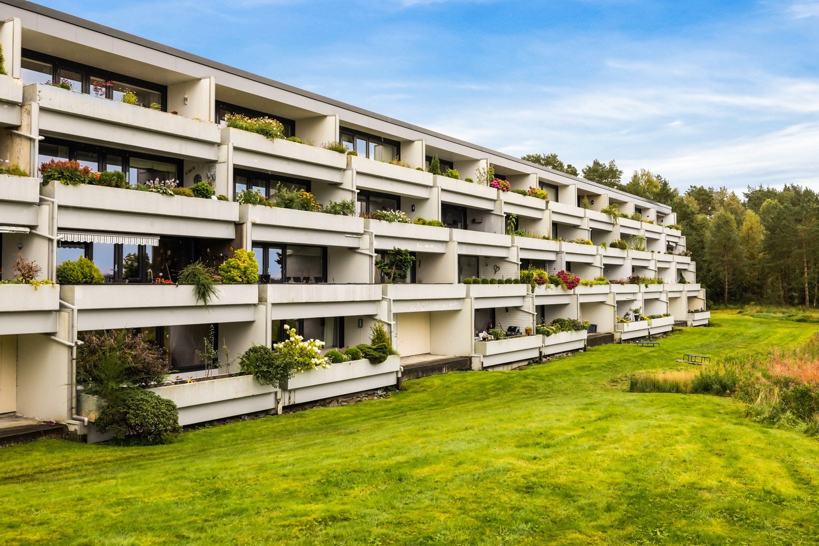 - Skole og barnehage i umiddelbar nærhet - Galleribilde