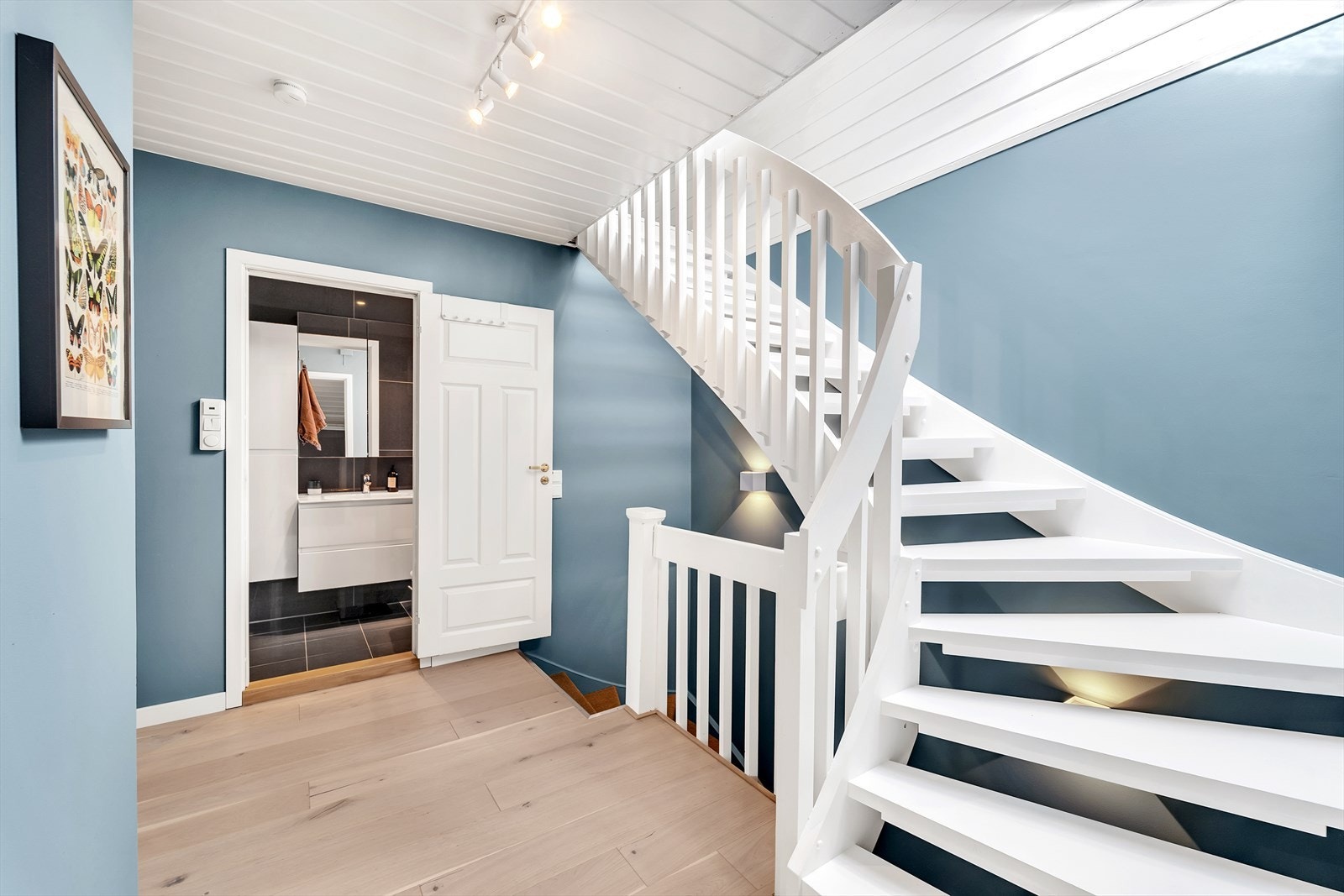 Trapp med teppe i trinnene og malte slette vegger. Det er montert stilig belysning i trappeoppgangen. Galleribilde