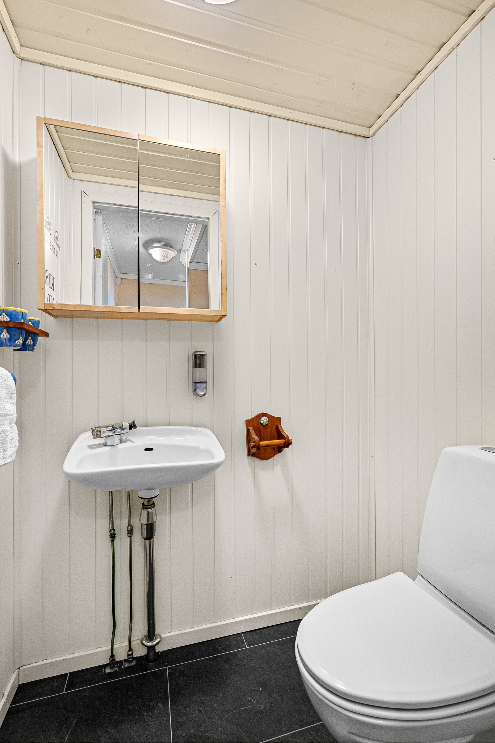 Praktisk gjestetoalett/WC i hovedetasjen. Galleribilde