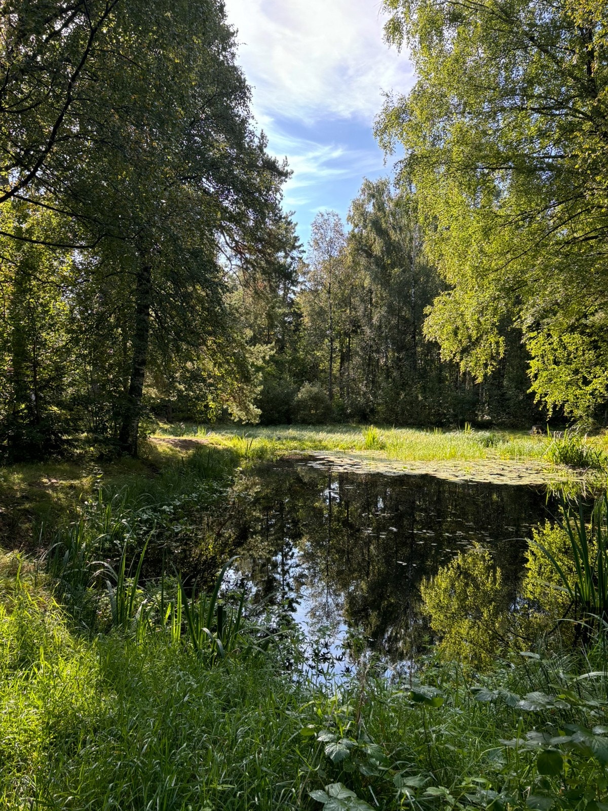 Områdebilde - Byskogen - Månedammen Galleribilde
