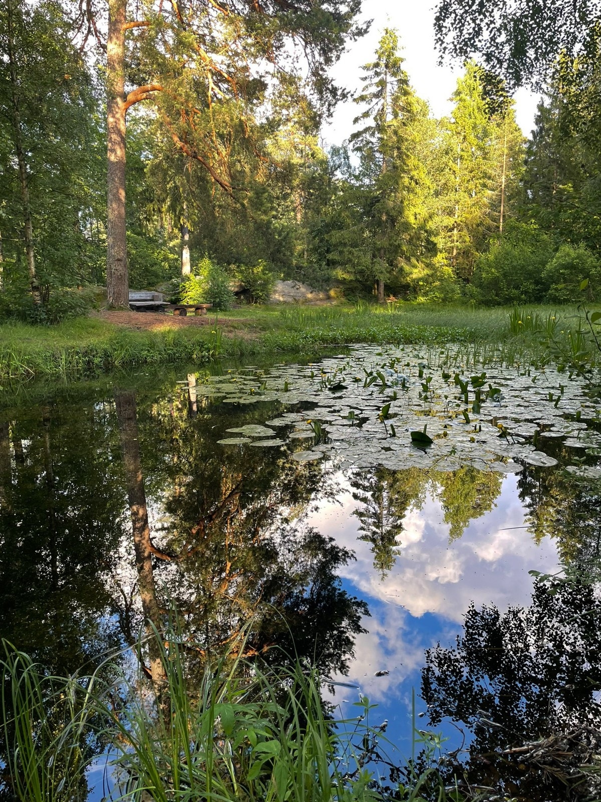 Områdebilde - Byskogen - Månedammen Galleribilde