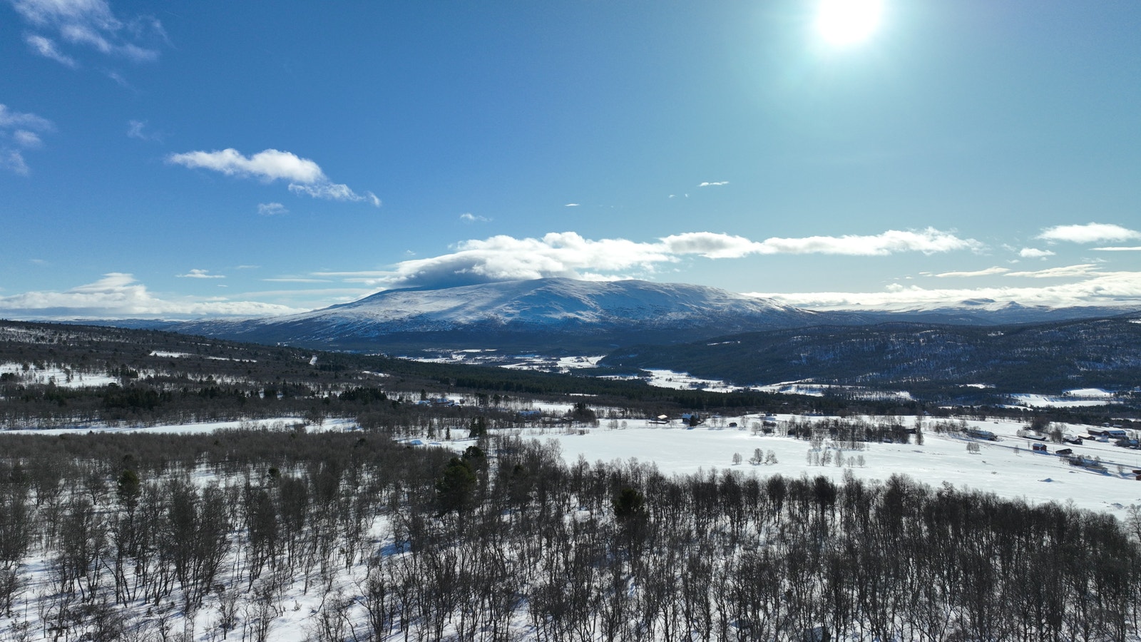 850 moh ser det slik ut. Galleribilde