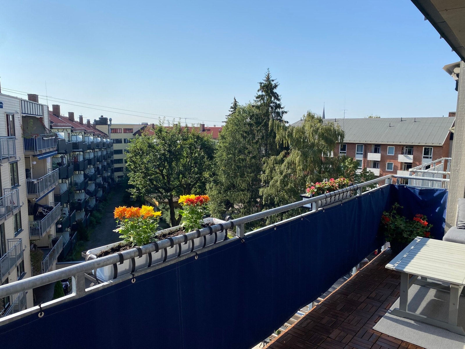 Grønt og frodig utsyn på sommerstid (selgers bilde). Galleribilde