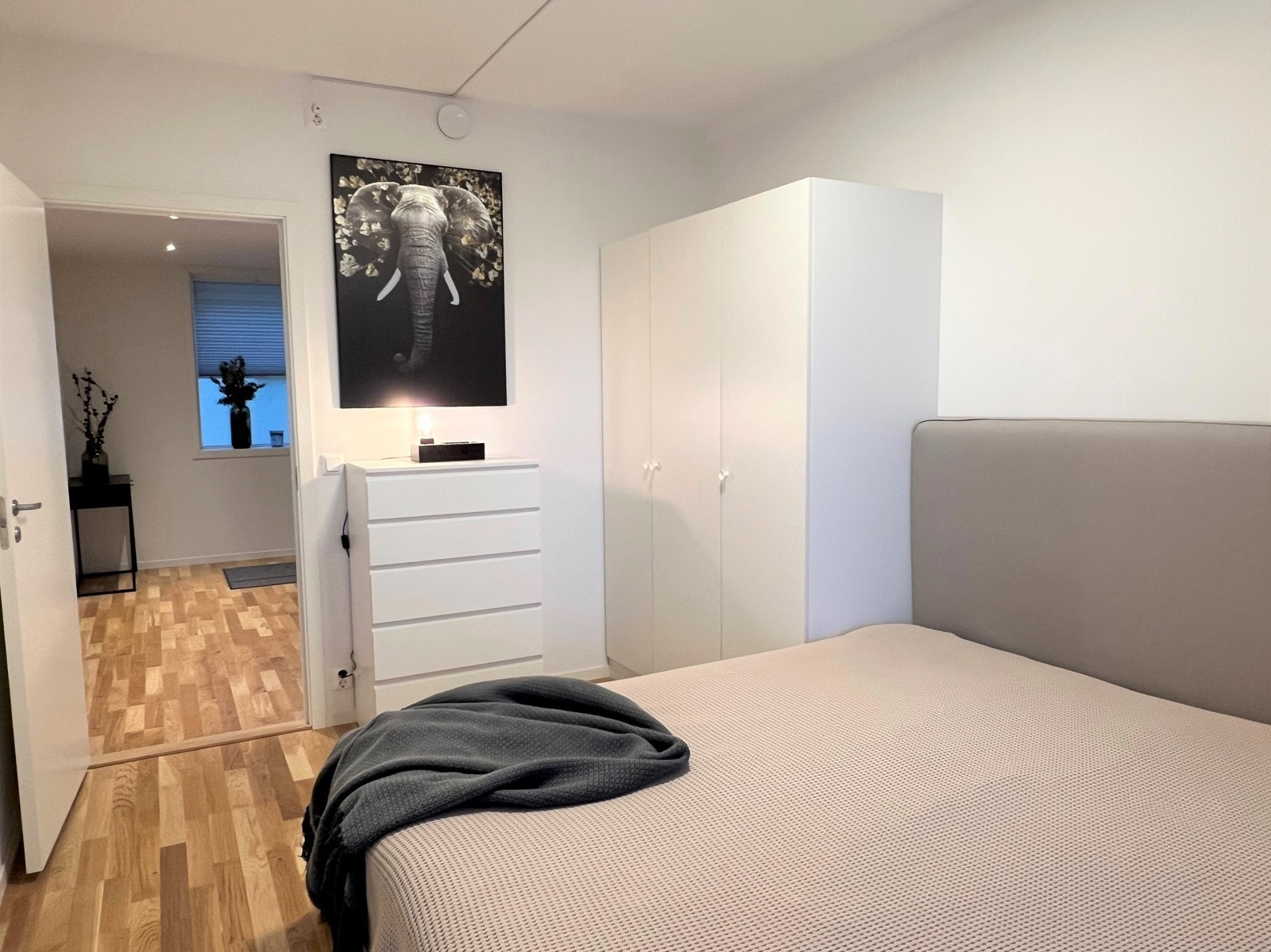 Hovedsoverom mot gang Galleribilde