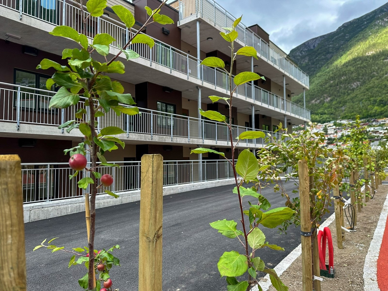 Frukttrær på fellesareal Galleribilde