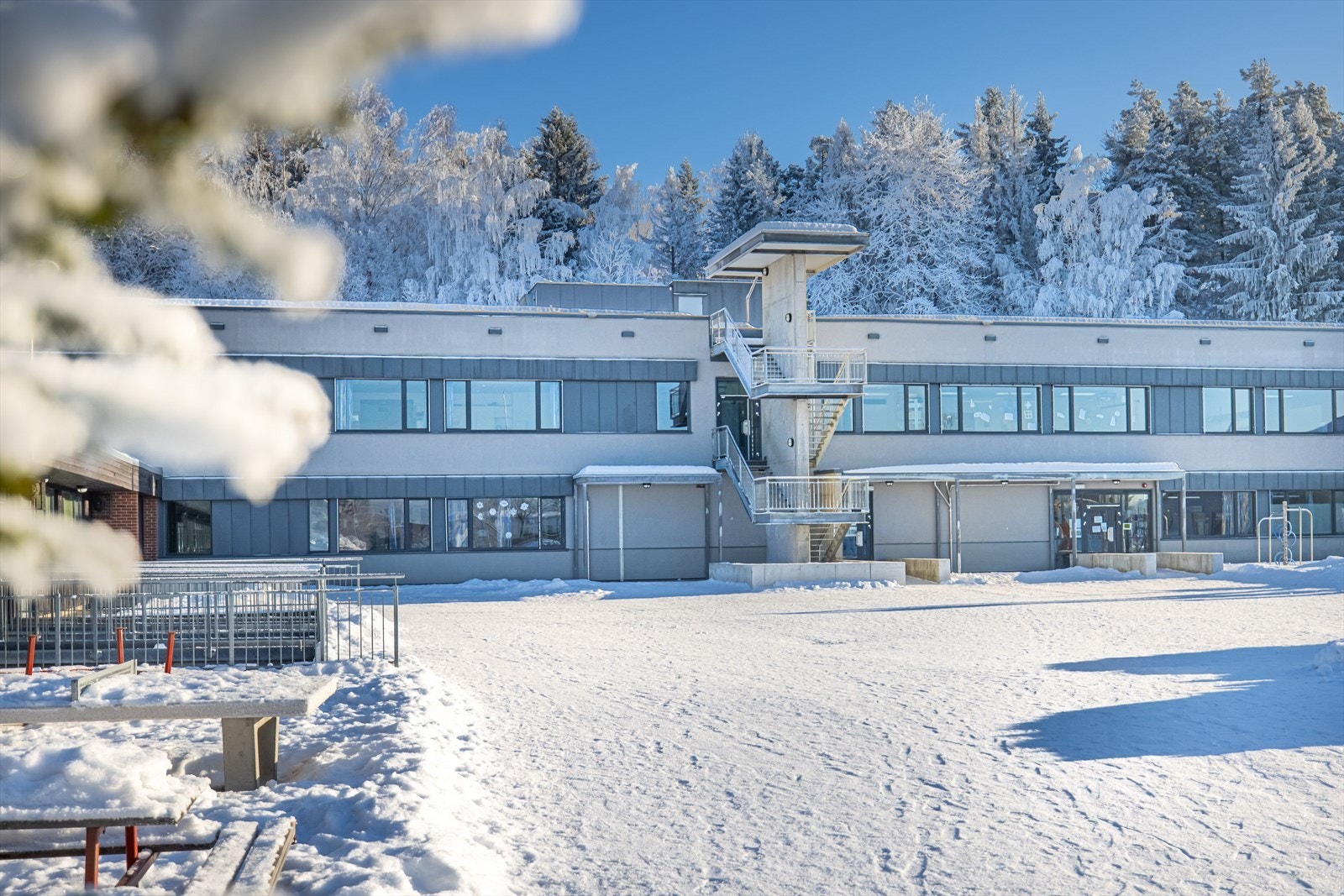 Løvenstad Skole ligger i umiddelbar nærhet, og er for barn fra 1 til 7 klasse! Galleribilde