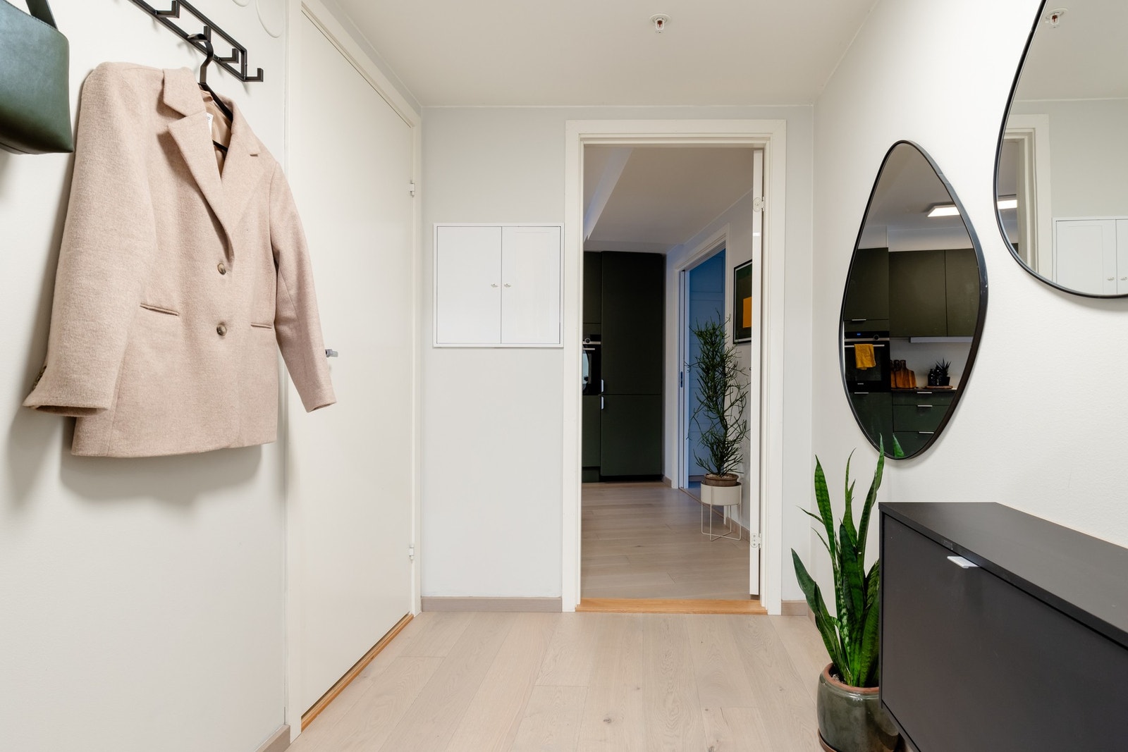 Entreen oppleves lys og romslig med plass til lagringsmøblement, veggpynt og klesoppheng. Galleribilde