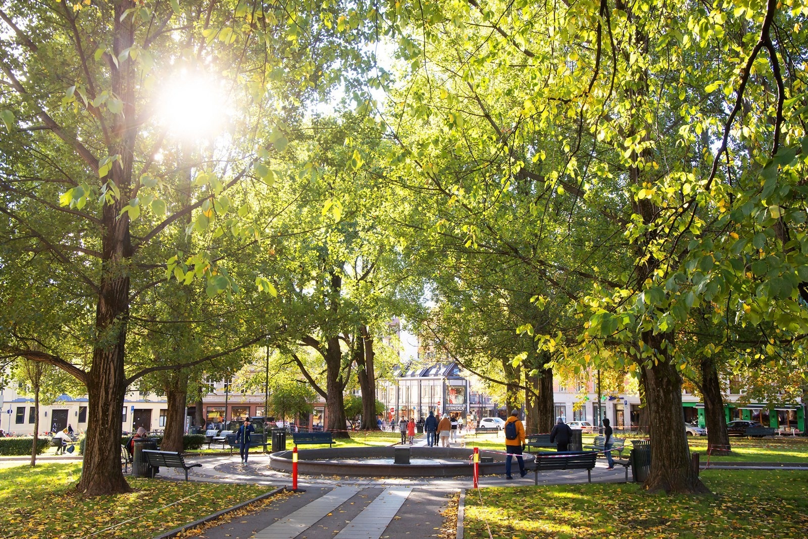 Olaf Ryes plass. Trivelig park i hjertet av Grünerløkka. Her er det en sjarmerende fontene og koselig belysning i juletiden. Galleribilde