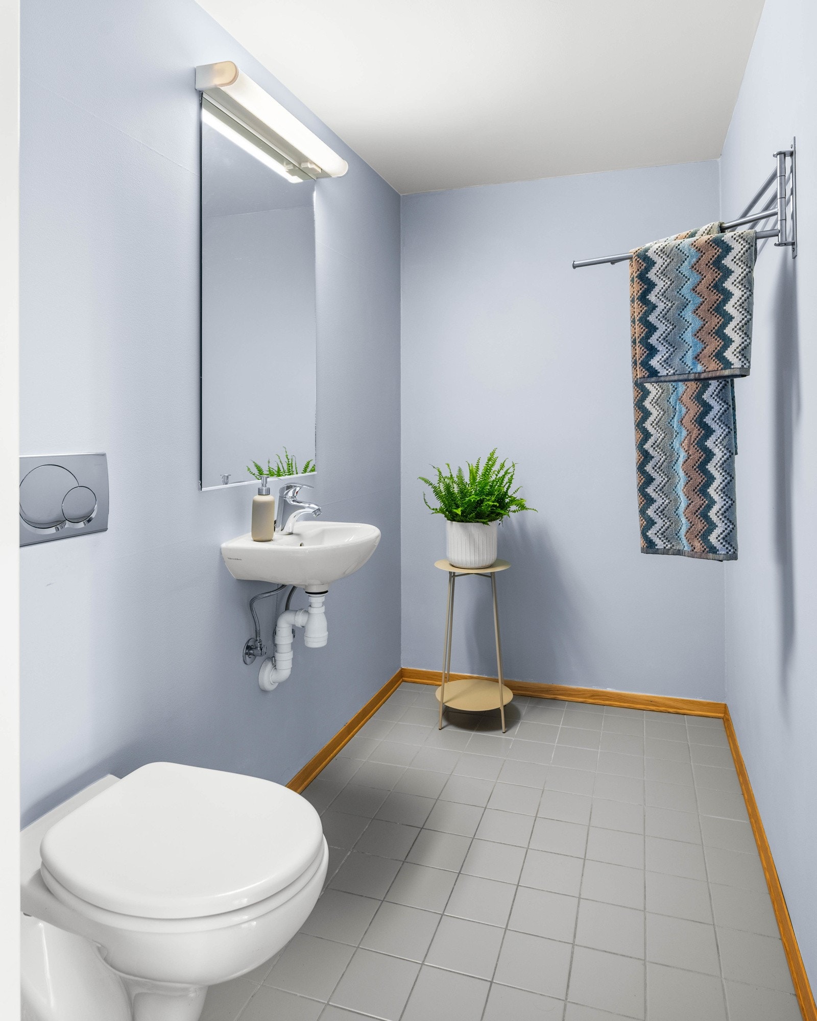 Separat toalettrom Galleribilde